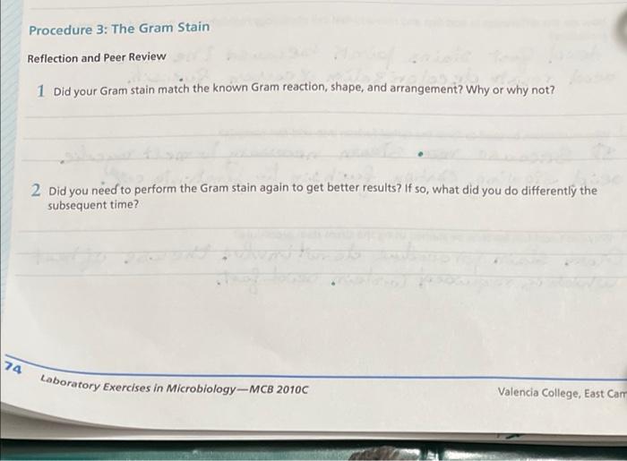 Solved Procedure 3: The Gram Stain For this section, you | Chegg.com