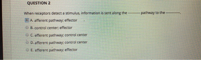 Solved QUESTION 2 When receptors detect a stimulus, | Chegg.com
