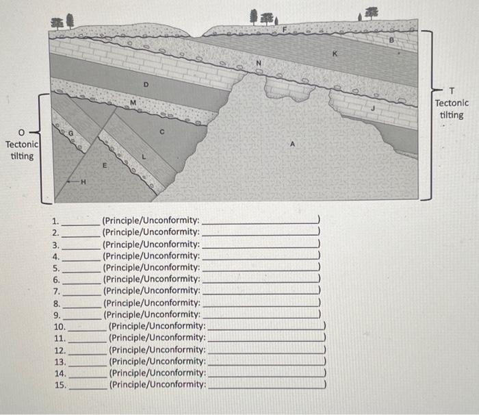 Solved 1. (Principle/Unconformity: 2. | Chegg.com