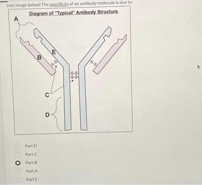 Solved (see image below) The specificity, of an antibody | Chegg.com