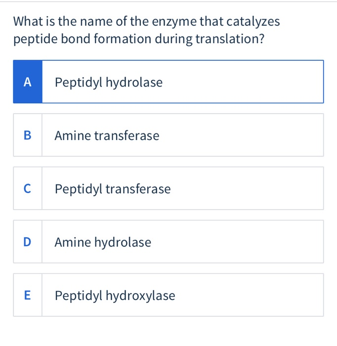 Solved What is the name of the enzyme that catalyzes peptide | Chegg.com