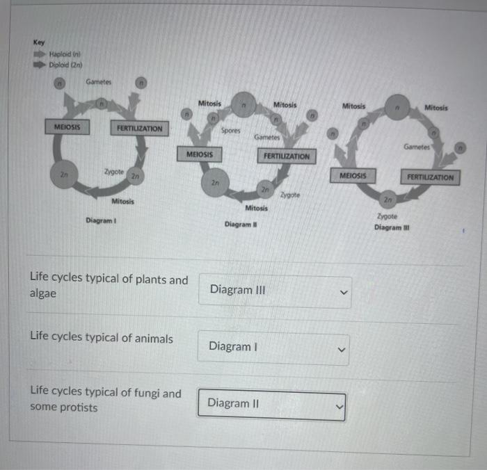 help with this question1)2) mention the diagrams 
