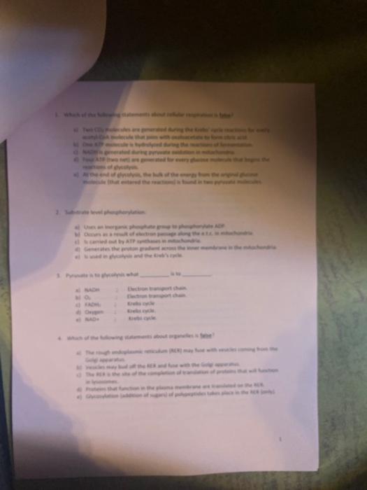 please answer the multiple choice questions in the | Chegg.com