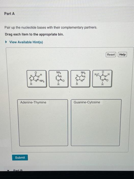 Reset Help Mrna Combines With Ribosome Amino Acids Chegg Com