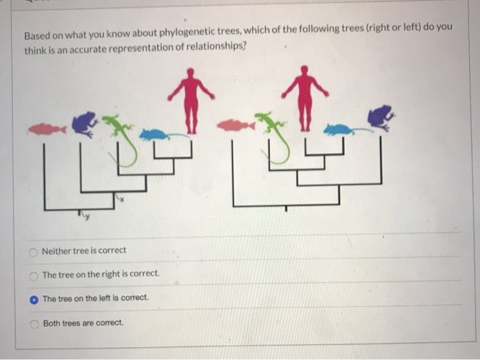 Solved Species A And Species F Have Wings But Their Chegg