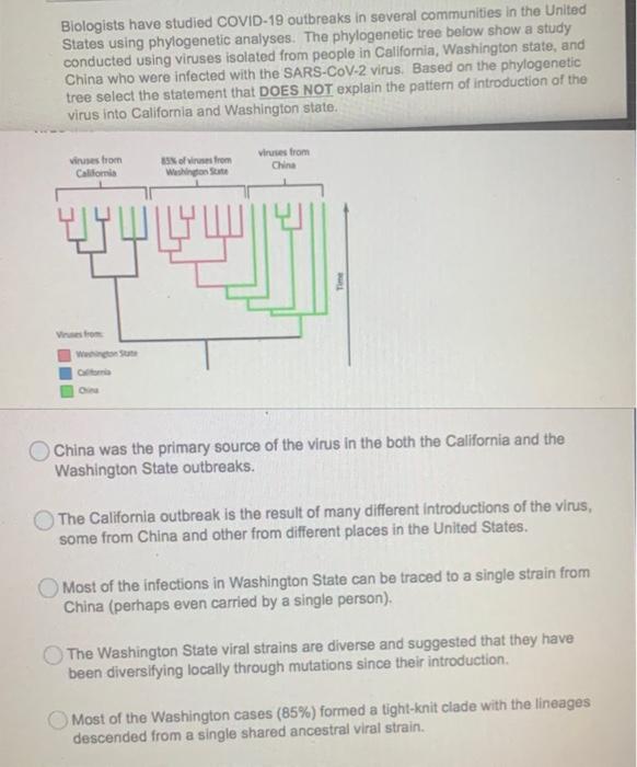 Solved At which point on the phylogenetic tree shown did | Chegg.com