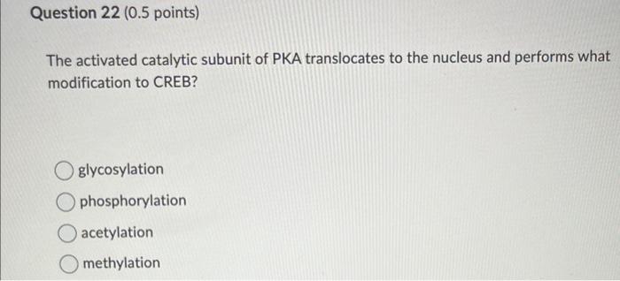 Solved The activated catalytic subunit of PKA translocates | Chegg.com