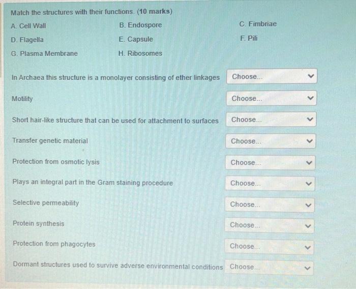Solved Match the structures with their functions. (10 marks) | Chegg.com