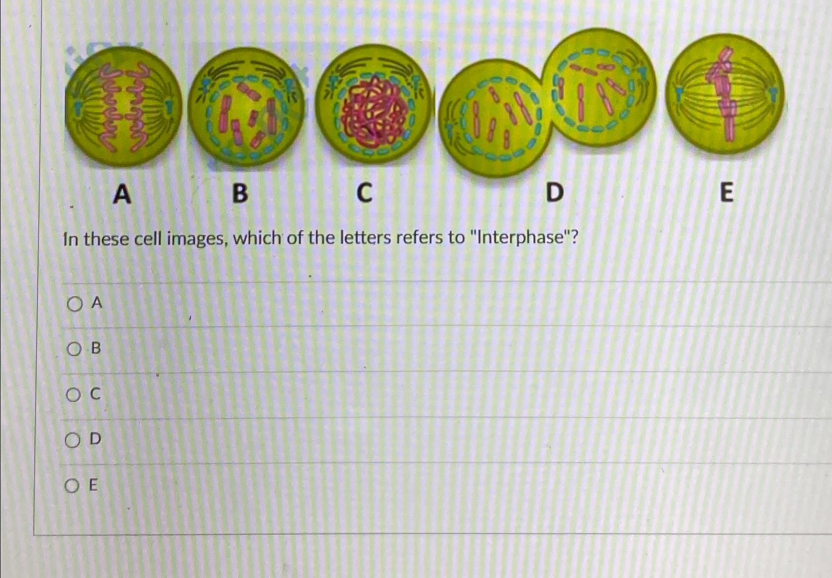 Solved ABCDEIn these cell images, which of the letters | Chegg.com