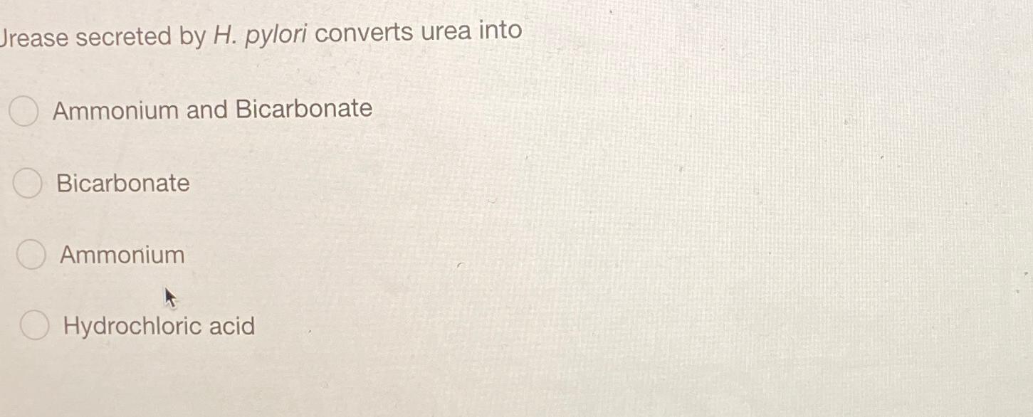 Solved Jrease secreted by H. ﻿pylori converts urea | Chegg.com