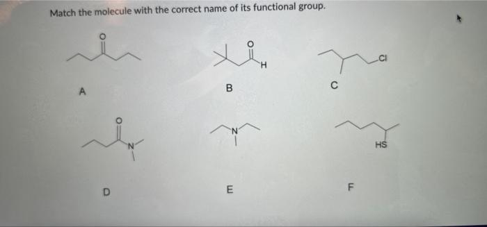 Solved Match the molecule with the correct name of its | Chegg.com