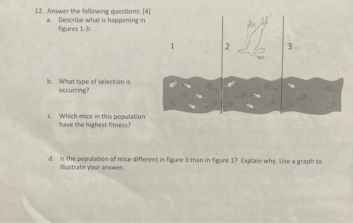 Solved 12. Answer The Following Questions: [4] A. Describe | Chegg.com