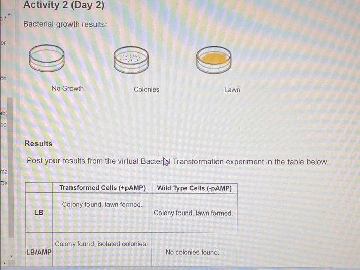Solved Lab Result A Is Options Include Staphylococcus Chegg Com
