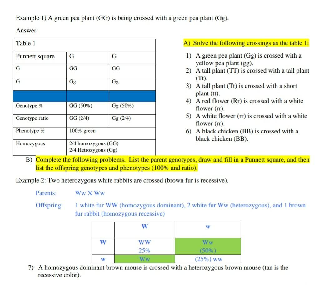 Solved Example 1) A green pea plant (GG) is being crossed