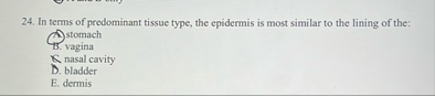 In terms of predominant tissue type, the epidermis is | Chegg.com