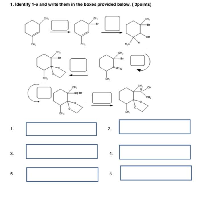 Solved 1. Identify 1-6 and write them in the boxes provided | Chegg.com