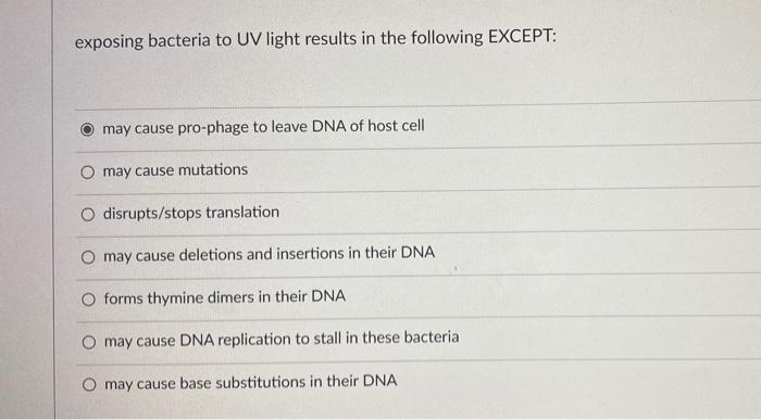Solved exposing bacteria to UV light results in the | Chegg.com