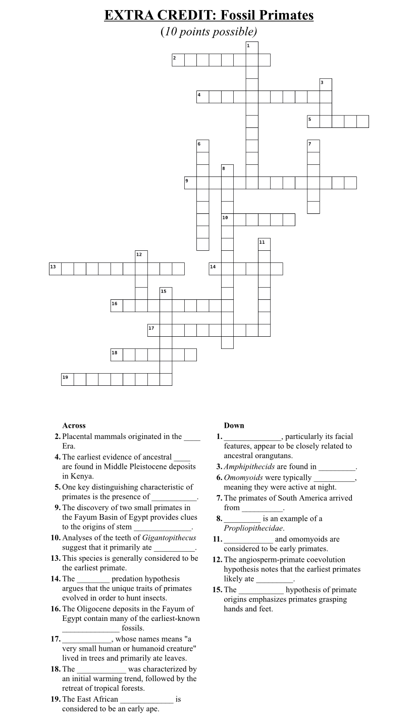 Solved EXTRA CREDIT: Fossil Primates(10 ﻿points | Chegg.com