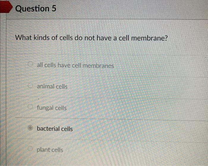 Solved What kinds of cells do not have a cell membrane? all