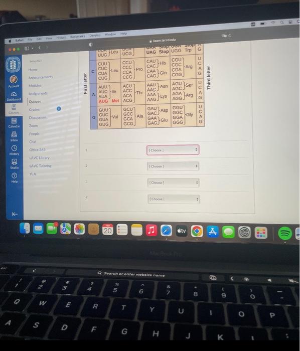 Solved Transcribe And Trandate The Folowing Dna Sequence J Chegg Com