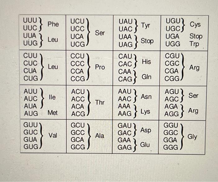 Solved Асс UUG AGA UUA AGG AGU GCA CGA CCA UCA ACA GUA GCC