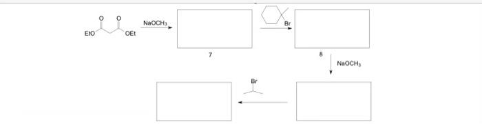 Solved EIO O -O OEL NaOCH₂ 7 Br Br 8 NaOCH, | Chegg.com