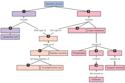 mastering biology oxidative phosphorylation concept map Solved Using The Following Terms Draw A Concept Map That Desc mastering biology oxidative phosphorylation concept map