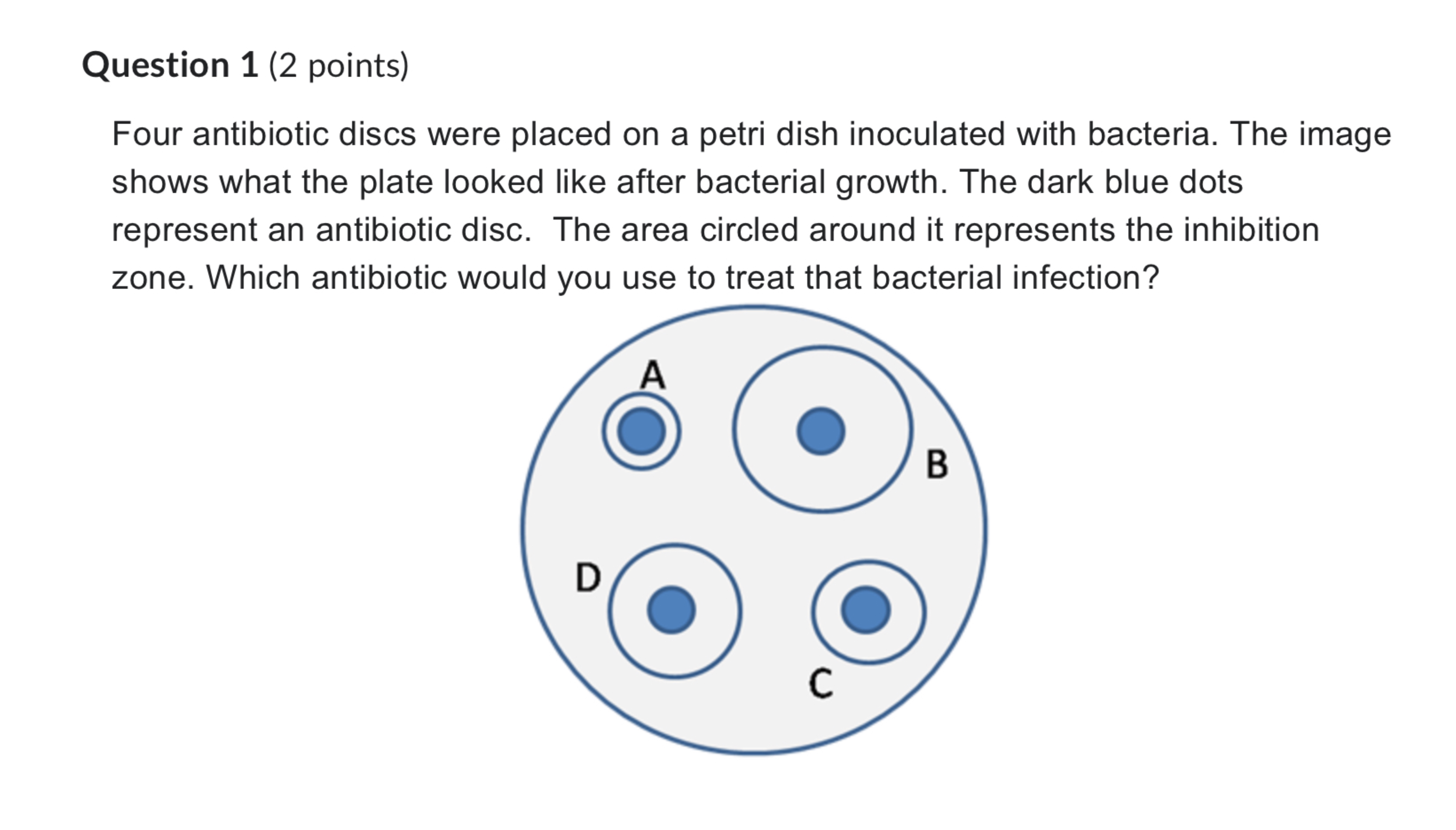 Solved Question 1 (2 ﻿points)Four antibiotic discs were | Chegg.com