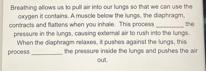 Solved Breathing allows us to pull air into our lungs so | Chegg.com