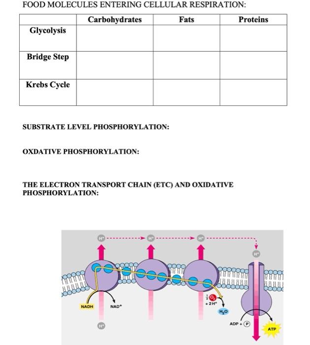 student submitted image, transcription available below