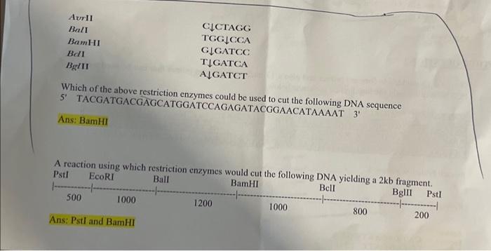 Solved Which Of The Above Restriction Enzymes Could Be Used | Chegg.com