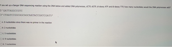 Solved of you set up a Sanger DNA sequencing reaction using | Chegg.com