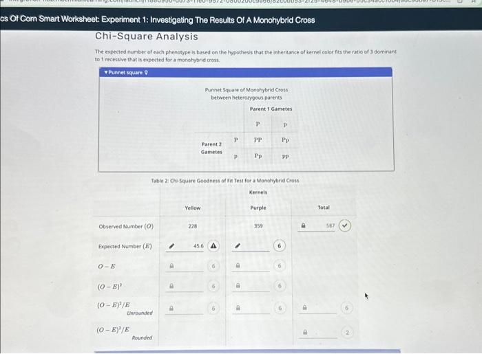 Solved gentics Of Corn Smart Worksheet: Experiment 1: | Chegg.com