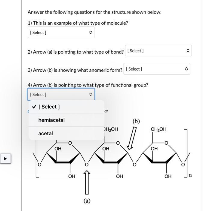 Solved Answer The Following Questions For The Structure | Chegg.com