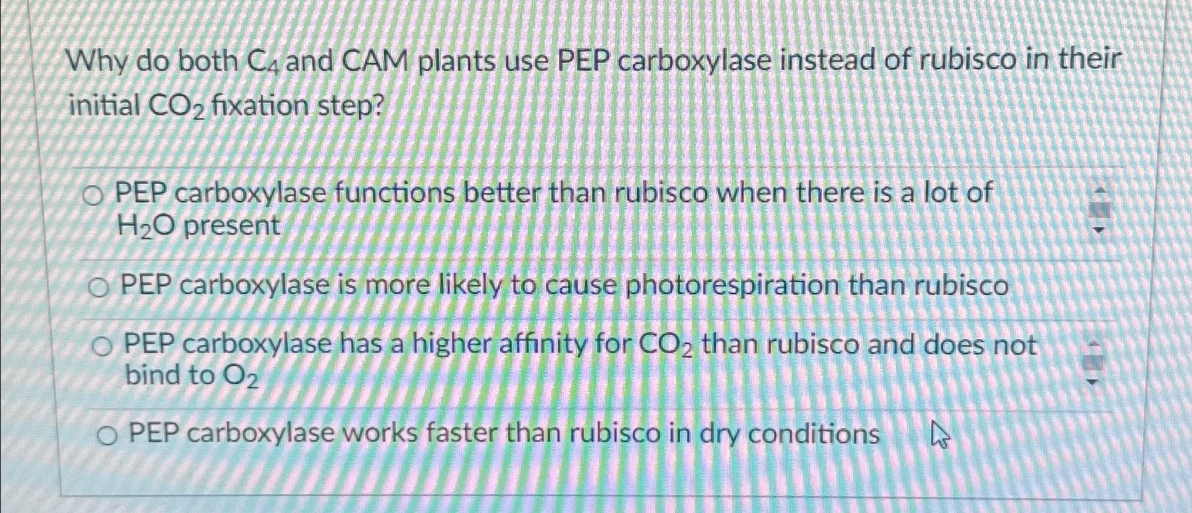 Solved Why do both C4 ﻿and CAM plants use PEP carboxylase | Chegg.com