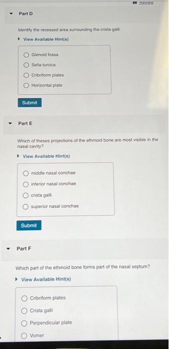 Solved Identity the recessed area surrounding the crista | Chegg.com