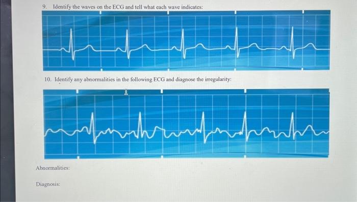 Solved 13. Identify Any Abnormalities In The Following | Chegg.com