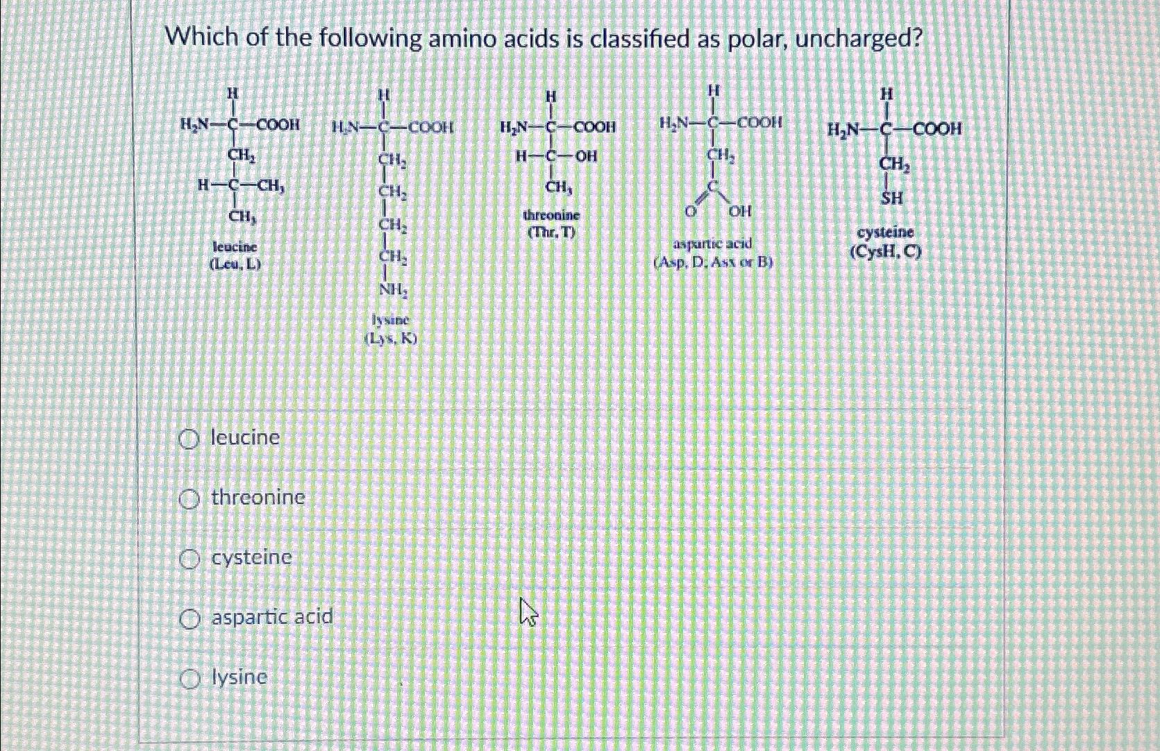 Solved Which of the following amino acids is classified as | Chegg.com