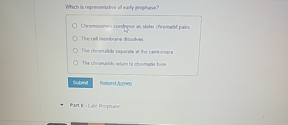 Solved Which is representative of early prophase?Chromosomes Biology Diagrams