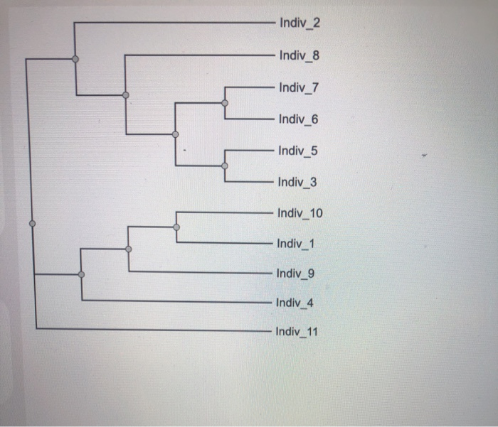 solved-indiv-2-indiv-8-indiv-7-indiv-6-indiv-5-indiv-3-chegg