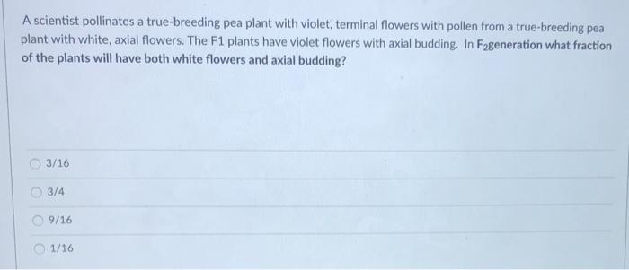 Solved Purple flowers (P) are dominant over white flowers | Chegg.com