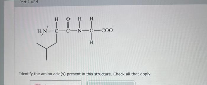 Identify the amino acid(s) present in this structure. | Chegg.com