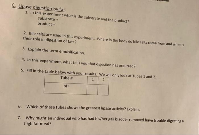 lipase digestion of fat experiment