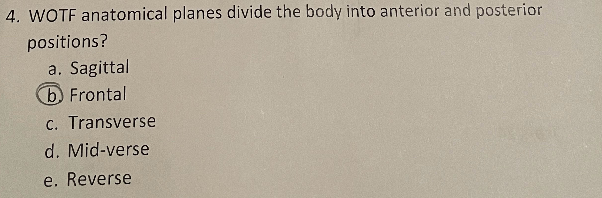 Solved WOTF anatomical planes divide the body into anterior | Chegg.com