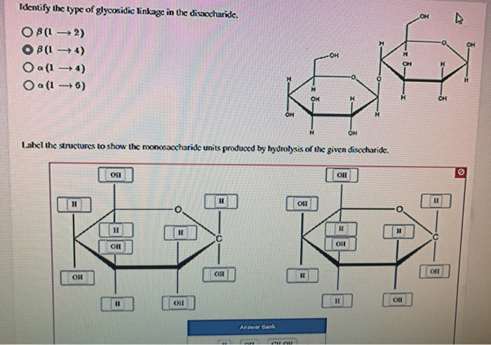 Identify The Type Of Glycosidic Linkage In The Chegg 