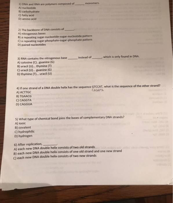 Solved 1) DNA and RNA are polymers composed of A) nucleotide