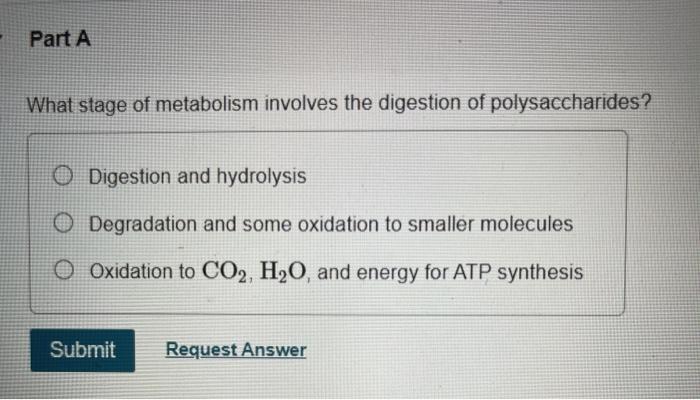 Solved Part A What stage of metabolism involves the | Chegg.com