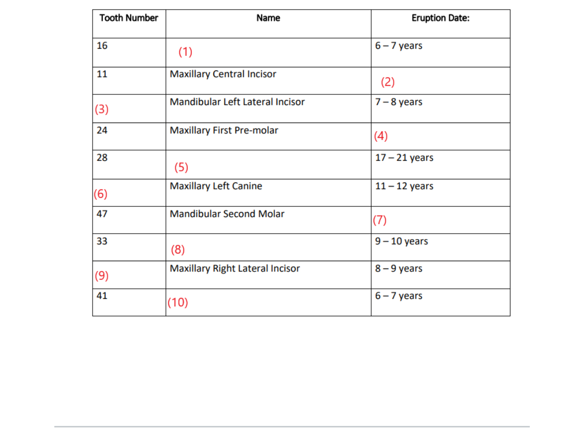 Solved \table[[Tooth Number,Name,Eruption Date:],[16,(1),6-7 | Chegg.com