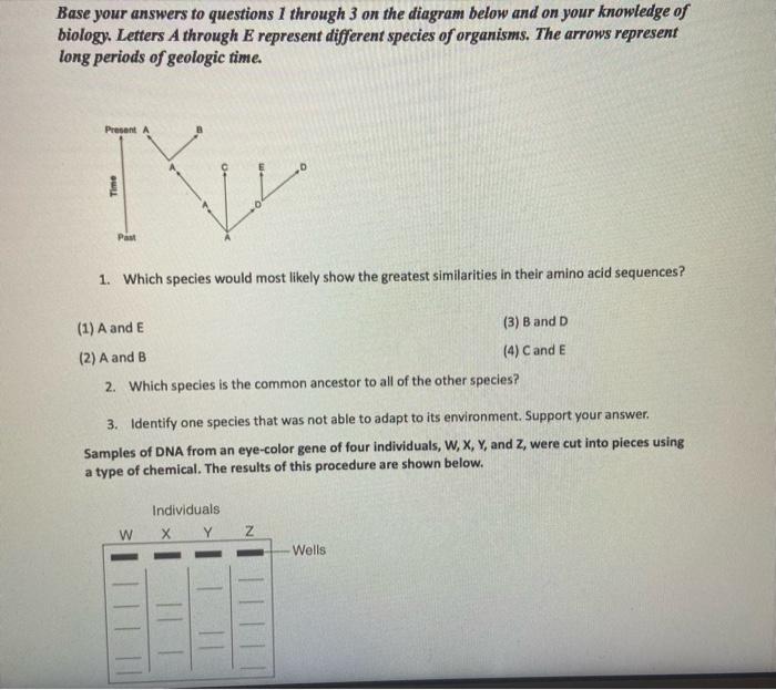 Solved Base your answers to questions I through 3 on the | Chegg.com