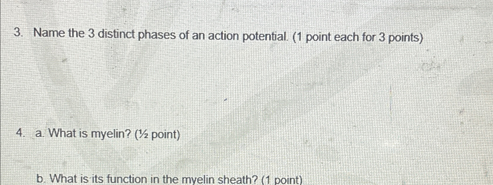 Solved Name the 3 ﻿distinct phases of an action potential. | Chegg.com